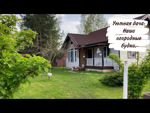Видео: Уютная дача: Наши огородные будни.