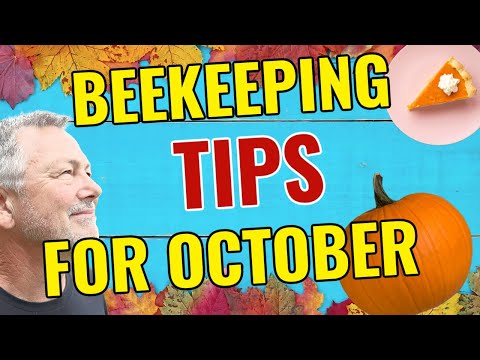 Видео: Пчеловодство | Как подготовить рамки к зиме