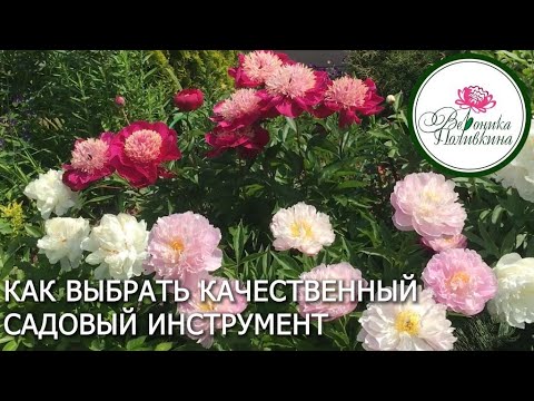 Видео: Как выбрать качественный садовый инструмент  Berry&Bird