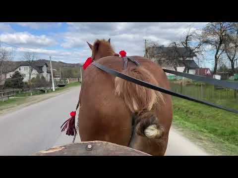 Видео: Продається  усі деталі за номером телефону  +380 (68) 669 06 84 💪