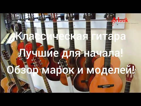 Видео: Классическая гитара. Какую купить гитару? Лучшие для начинающих! | Мьюзик-Стор |musik-store.ru