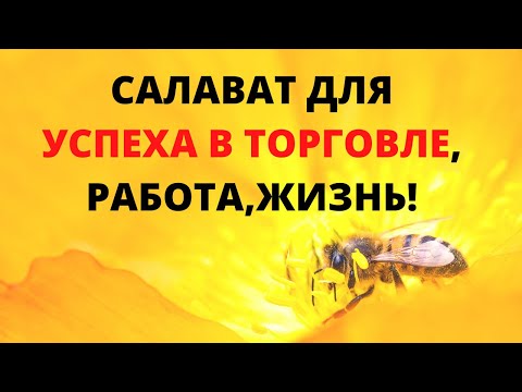 Видео: САЛАВАТ ДЛЯ УСПЕХА В ТОРГОВЛЕ, РАБОТА,ЖИЗНЬ!