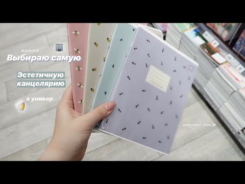 Видео: НАШЛА САМУЮ ЭСТЕТИЧНУЮ КАНЦЕЛЯРИЮ | Back To School 2020