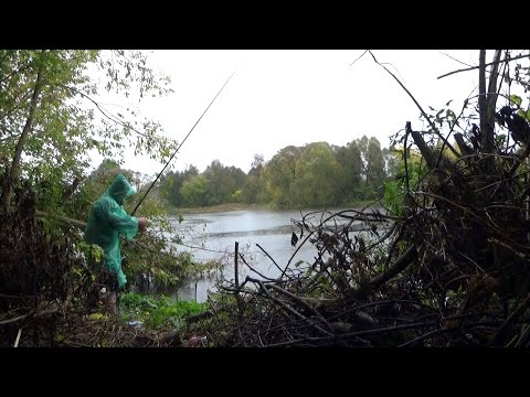 Видео: Рыбалка на карася в сложных условиях, но лучше чем день на диване