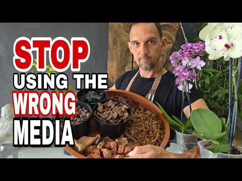 Видео: Как правильно выбрать горшечную среду для вашей орхидеи