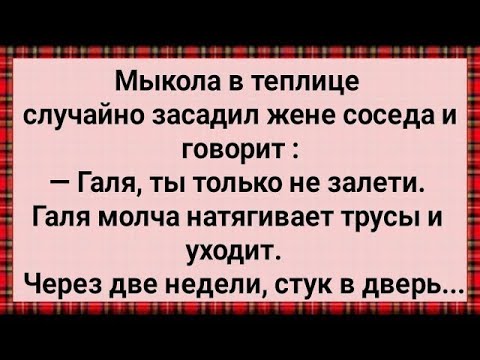 Видео: Как Галя от Мыколы Залетела! Сборник Свежих анекдотов! Юмор!
