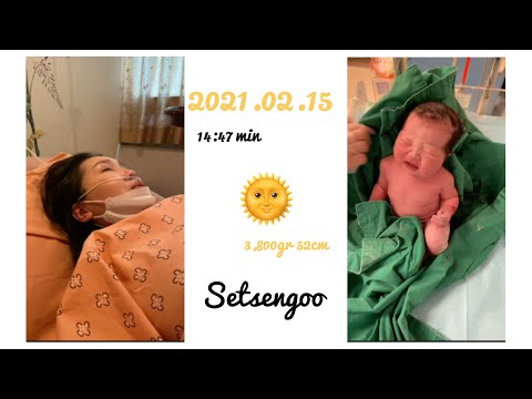 Видео: Миний хамгийн гоё влог 💞 Хонгорхон үр минь Хорвоод ирсэн өдөр 🌞 2021.02.15 Сэцэнгоо ✨