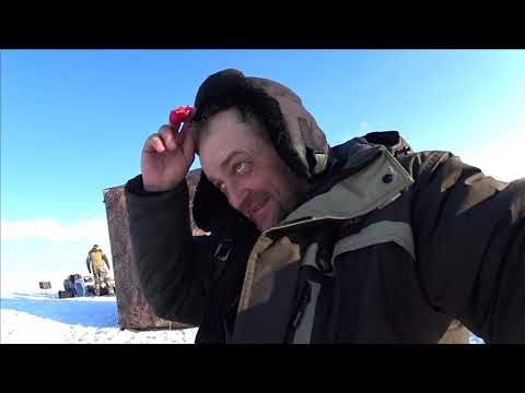 Видео: ЖИВУ 4 ДНЯ В ПАЛАТКЕ на ОЗЕРЕ / Рыбалка на оз Чаны / КАРАСЬ / СУДАК / ЧЕБАК ОКУНЬ / 2часть