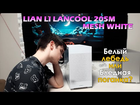 Видео: LIAN LI LANCOOL 205M MESH - ОБЗОР. Корпуса от них могут быть бюджетными и качественными?