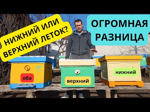 Видео: Нижний или верхний леток? Огромная разница, о которой вы можете не подозревать.