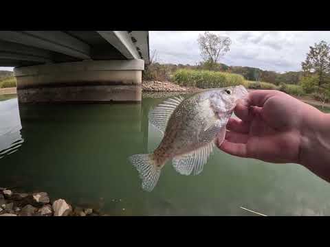 Видео: Рыбалка с удилищем DAIWA TATULA Ultralight JDM