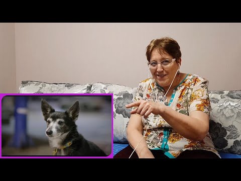 Видео: ПТИЧКА (НЕ ПАРОДИЯ ЧОТКИЙ ПАЦА) - HammAli & Navai | ПРЕМЬЕРА КЛИПА \ РЕАКЦИЯ