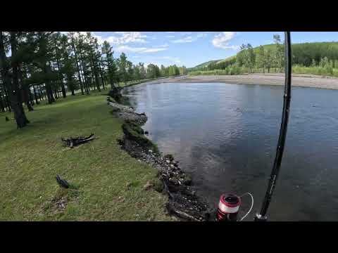 Видео: хадран