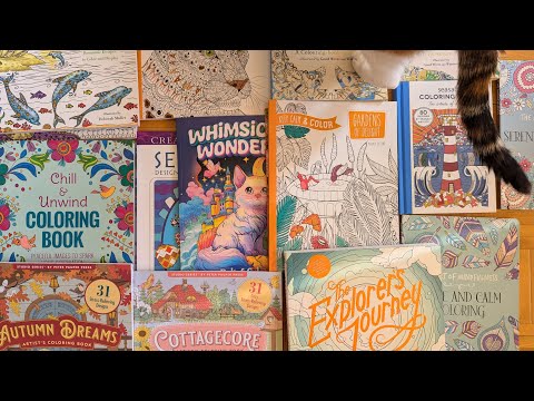 Видео: 19. Все мои раскраски. Разное. Zendoodle coloring book