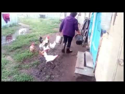 Видео: Я деревня , я село... Шаралдай