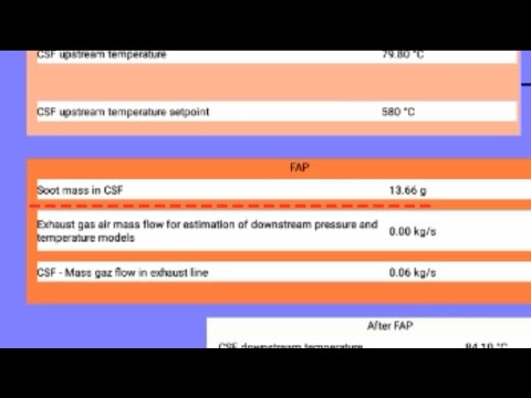 Видео: Как узнать массу сажи в сажевом фильтре Renault Экутвикером.