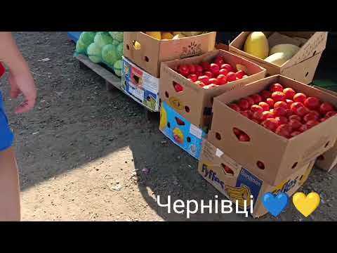 Видео: Ринок Зелений ОПТОВИЙ в Чернівцях.💙💛Ціни на овочі та фрукти .🍅🥬🫑🧅🧄🍈🍉