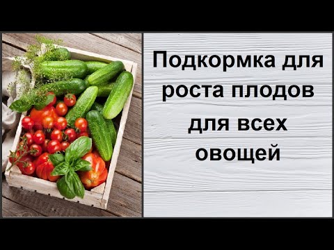 Видео: ПОДХОДИТ ДЛЯ ВСЕХ ОВОЩЕЙ! Обязательно попробуйте!