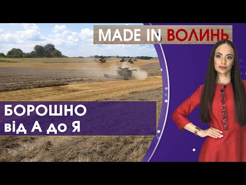 Видео: Як виготовляється борошно від А до Я | Made іn Волинь