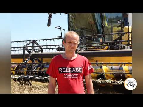 Видео: Жнива 2022 в ТОВ "Чугуєво", с. Новопавлівка