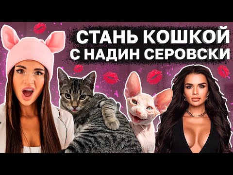 Видео: НАДИН СЕРОВСКИ - Создательница БОГИНЬ и КОШЕЧЕК (очередной Инстаразвод)