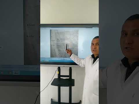 Видео: Иммерсионная система микроскопа