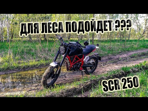 Видео: Брать ли MINSK SCR 250 для ЛЕСА ? ПОДРОБНЫЙ РАЗБОР