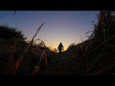 Видео: GREEN DAYS 94! Охота на утку в Тюмени! Упоровский район 2018!