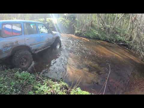 Видео: Трофи-рейд Москва-Питер