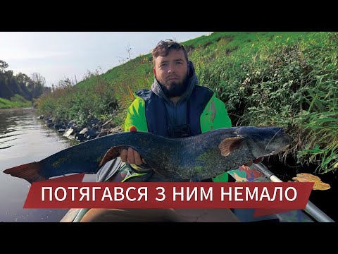 Видео: ДИКА РІЧКА - РИБАЛКА, ПРО ЯКУ МРІЄ КОЖЕН!!!
