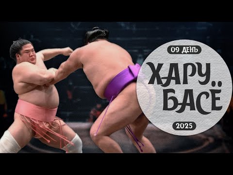 Видео: 9 день Хару Басё Макуути Сумо на русском 2025