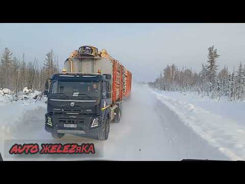 Видео: Вывозка леса на Севере#automobile#мерседес#дальнобойщик