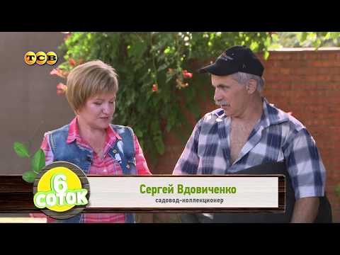 Видео: Клубника на агроволокне. 6 соток 11.09.2017