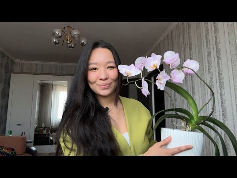 Видео: Как я получила визу C1/D в Америку🇺🇸