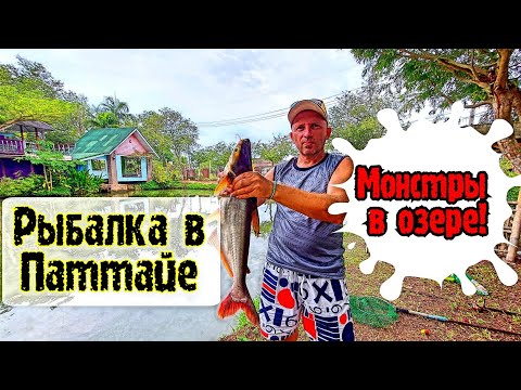 Видео: Паттайя Рыбалка удалась! Речной монстр в кадре!