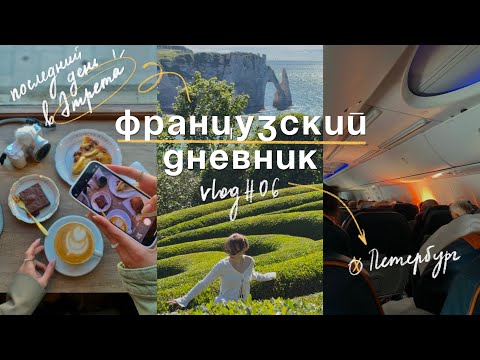 Видео: Французский дневник #06 ✈️✨последний день и возвращение