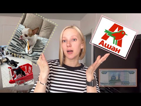 Видео: ОБЗОР ТОВАРОВ ДЛЯ ЖИВОТНЫХ ИЗ АШАНА. У нас случилось пополнение ))