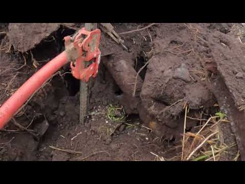 Видео: Коп металлолома на торфяном болоте.