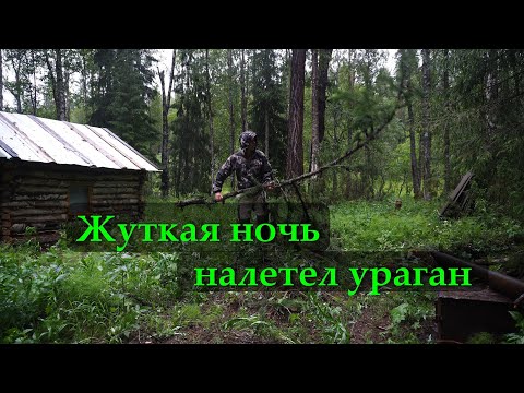 Видео: УРАГАН ВАЛИТ ДЕРЕВЬЯ. В ИЗБЕ СТРАШНО.КРУПНЫЙ ХАРИУС. МОЙ АККУМУЛЯТОР.