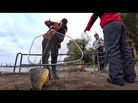 Видео: Почему я раньше так не рыбачил! 100% Рабочая схема на КАРПА. Приложение для рыбалки. Большая рыба.