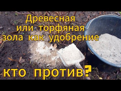 Видео: Что не так с древесной золой как удобрение?