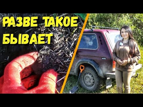 Видео: ИСКАЛА КЛАД, А НАШЛА...ЭТО. ОТЛИЧНАЯ НАХОДКА.  Поиск золота на поле, принес хороший результат