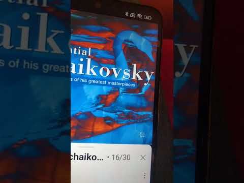 Видео: Чайковский
