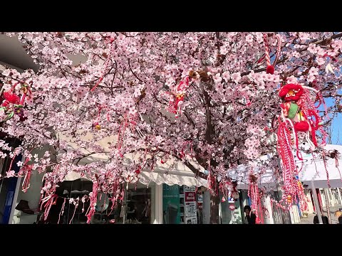 Видео: Весенняя прогулка по г. Варна, Болгария / Varna, Bulgaria