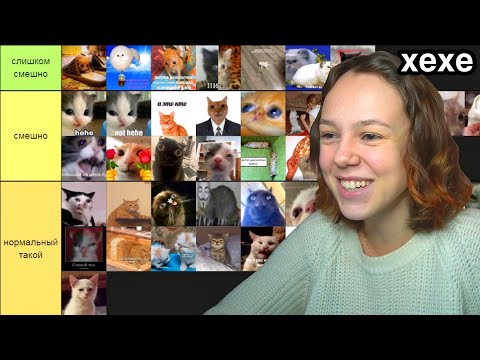 Видео: Оцениваю 100 мемов с котами от смешного до не смешного. Интересно, да?