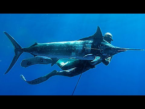 Видео: Лучшие 45 минут подводной охоты в истории..