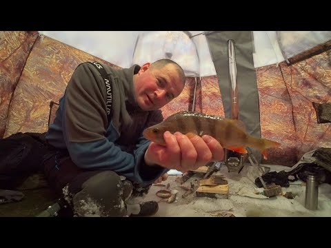 Видео: Мы его искали и нашли! С одной лунки ведро рыбы! Зимняя рыбалка.