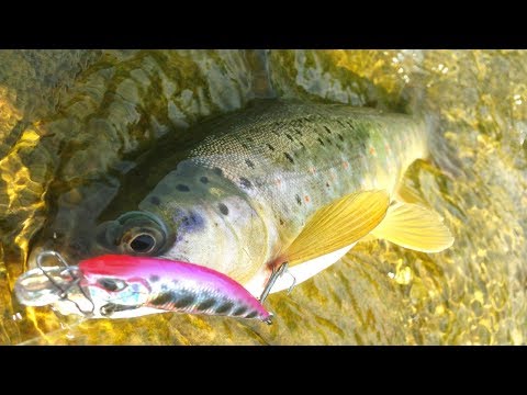 Видео: Рыбалка по форели на копию DUO Ryuki против блесны. Ловля форели в горной реке