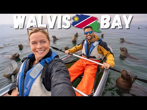 Видео: Незабываемое приключение на побережье Намибии