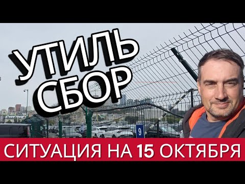 Видео: Утильсбор. Ситуация на 15 октября. Что и откуда успеем привезти